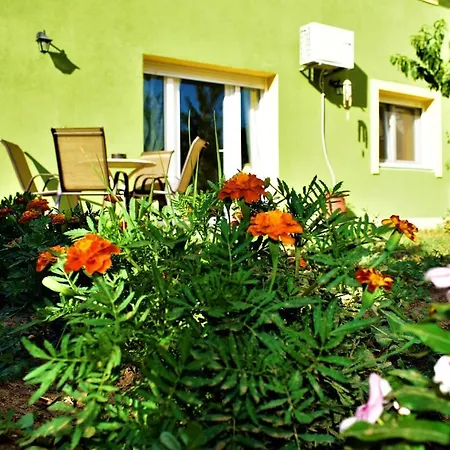 Alexandra 's Cozy Place Casa vacanze *